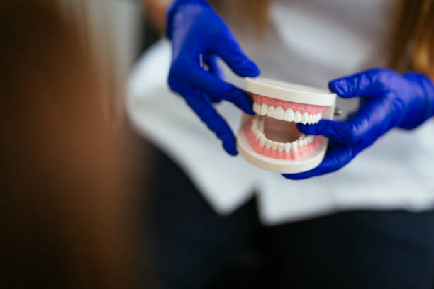 Reliable Lake Nacimiento, CA  Holistic Dental Services Solutions